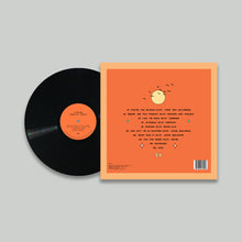 Load image into Gallery viewer, NATE08 - TWENTY SEVEN Vinyl LP
